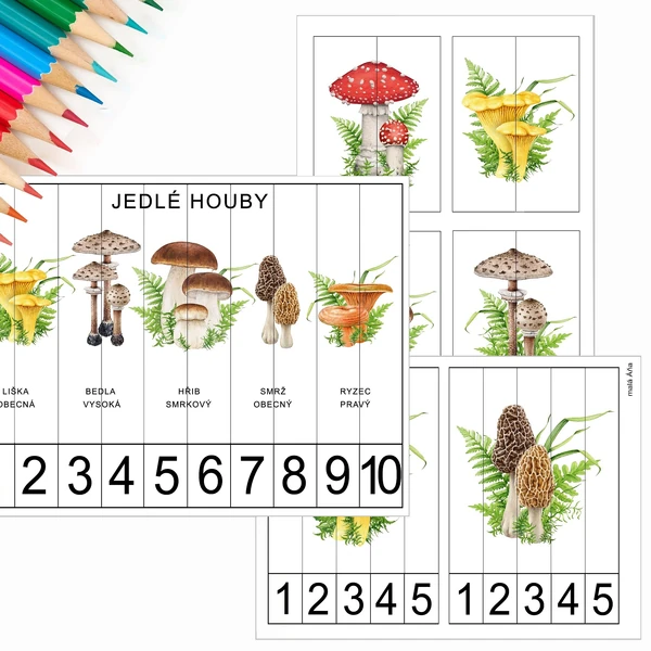 HOUBY - počítání a puzzle pro nejmenší