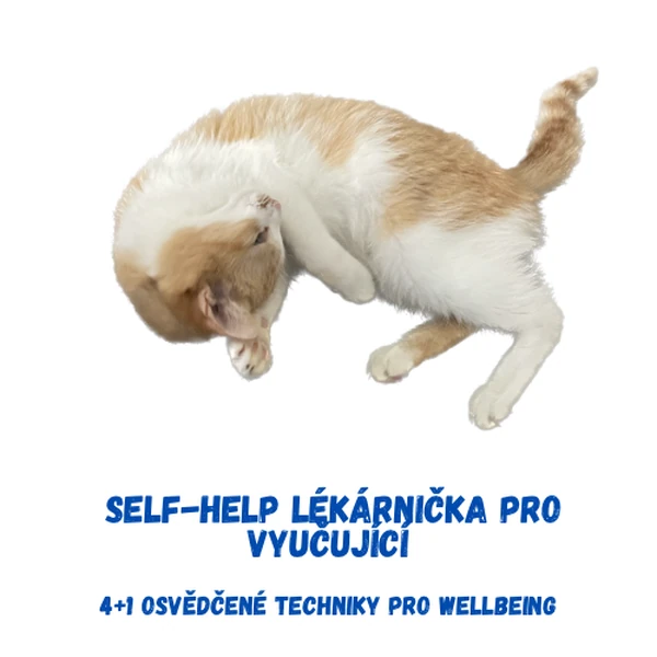 Self-help lékářnička pro vyučující