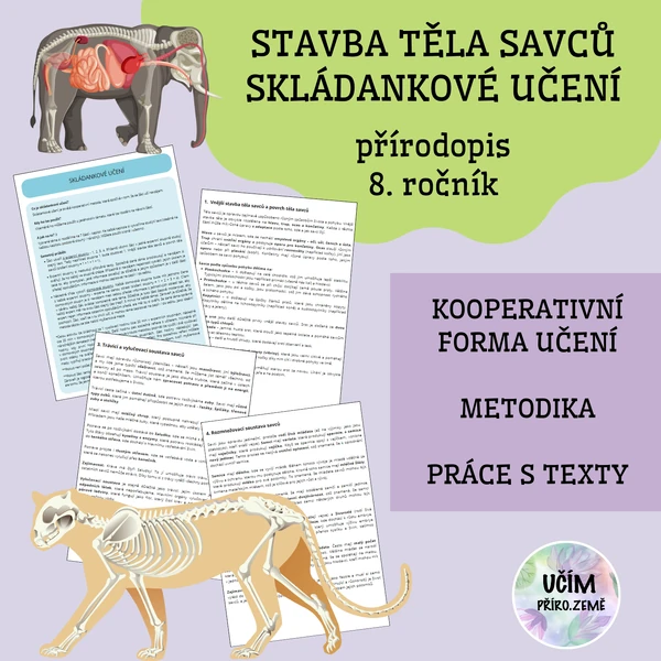 Stavba těla savců - skládankové účení