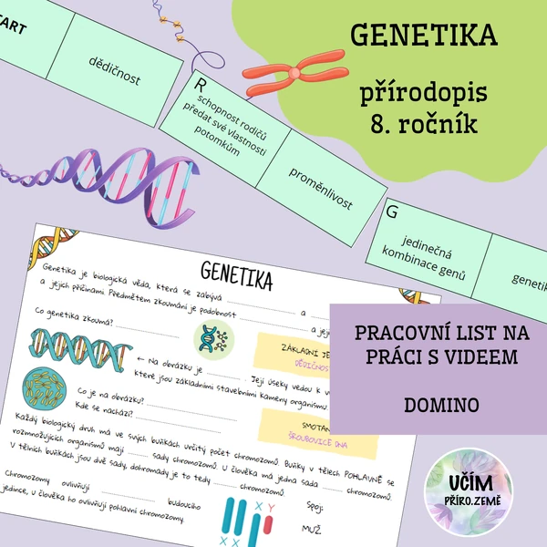Genetika - pracovní list, domino
