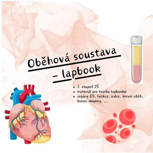 Oběhová soustava - lapbook