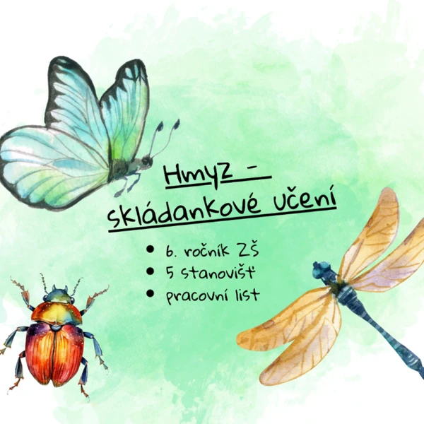 Hmyz - skládankové učení