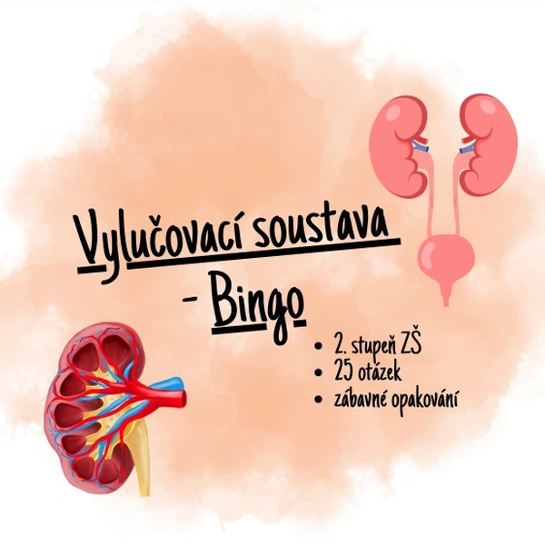 Vylučovací soustava - bingo
