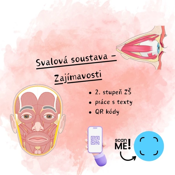 Svalová soustava - zajímavosti