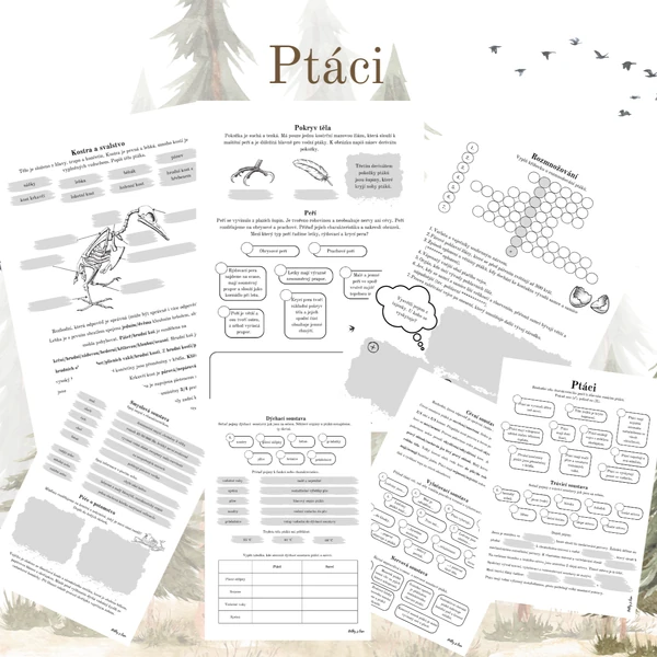 Ptáci