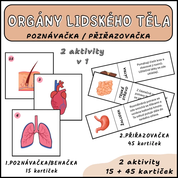 Orgány lidského těla - poznávačka, běhačka, přiřazovačka