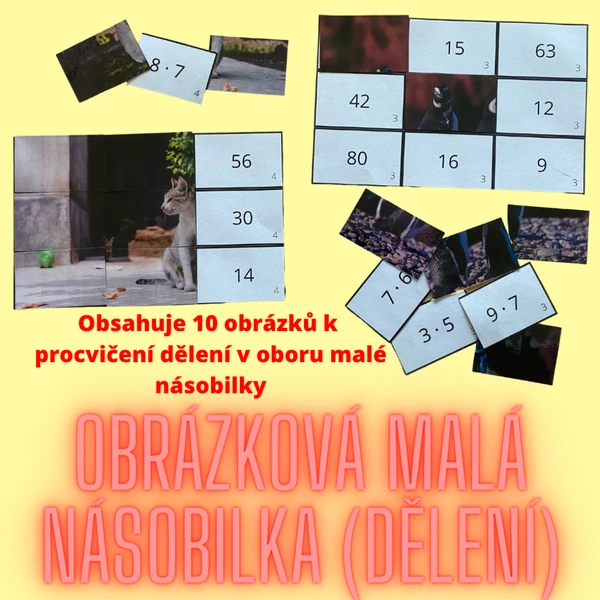 Obrázková malá násobilka (dělení)