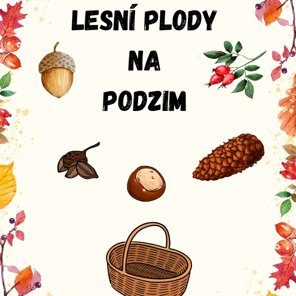 Lesní plody na podzim 