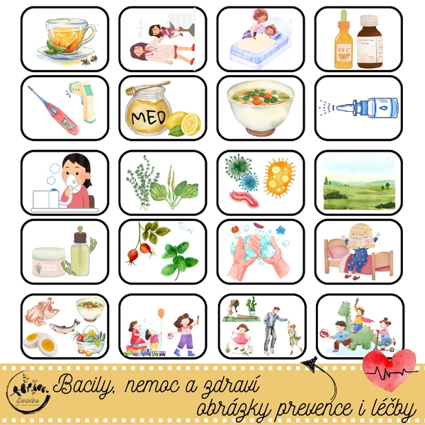 Bacily, nemoc a zdraví