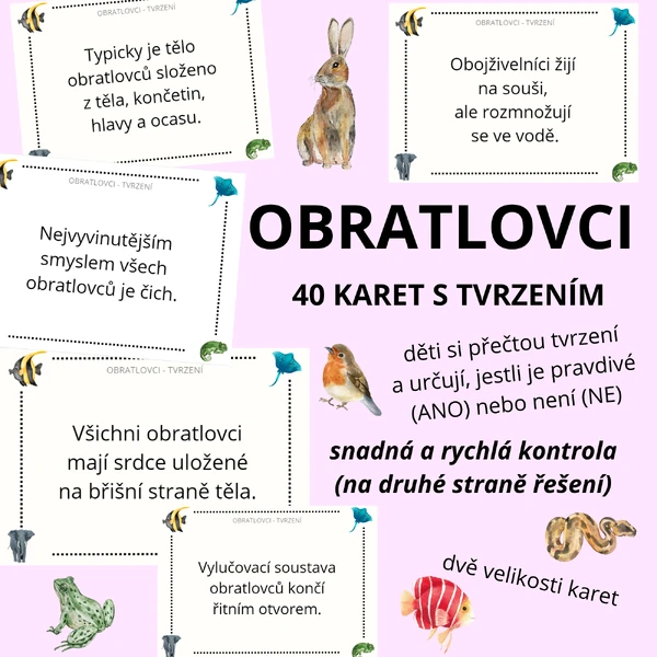 OBRATLOVCI - tvrzení (ANO/NE) - 40 karet (na druhé straně kontrola)