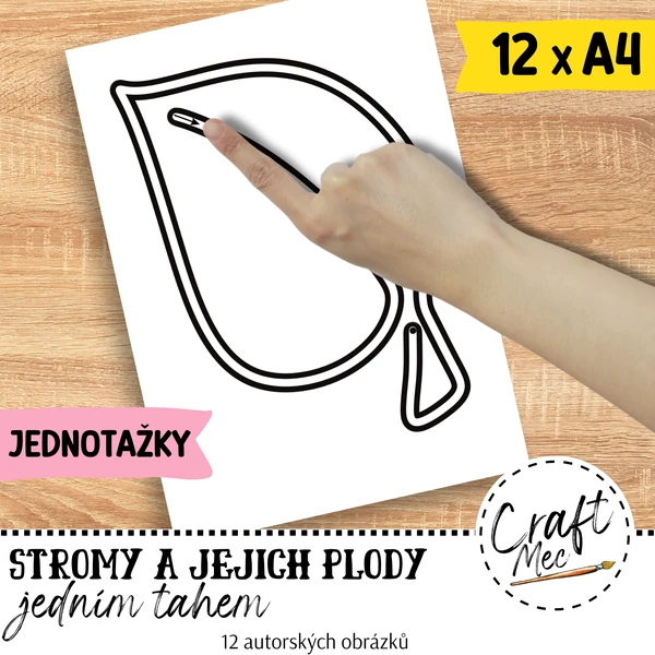 JEDNOTAŽKY - STROMY A JEJICH PLODY