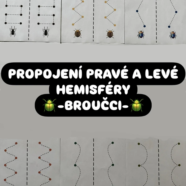 Propojení mozkových hemisfér - BROUČCI