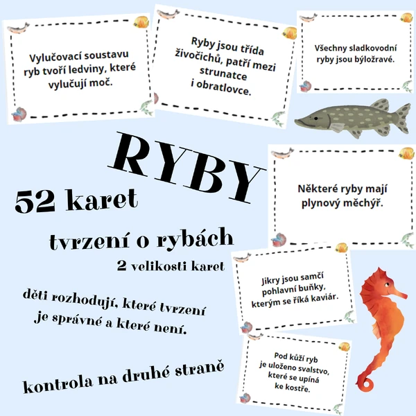 Ryby - tvrzení (ANO/NE) - 52 karet