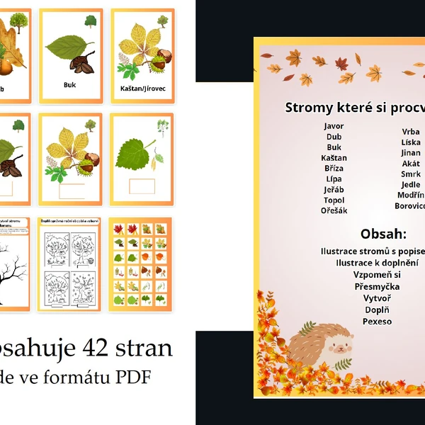 Poznávání stromů