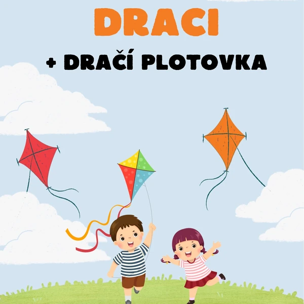 DRACI🪁