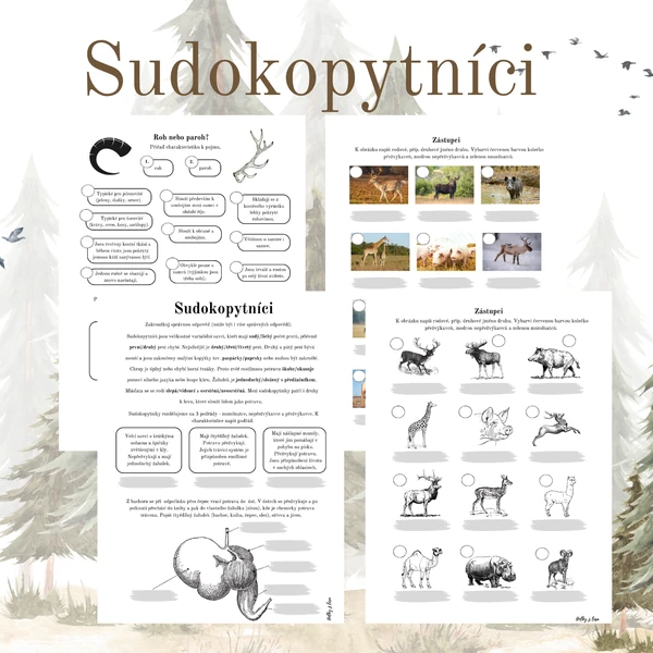 Sudokopytníci