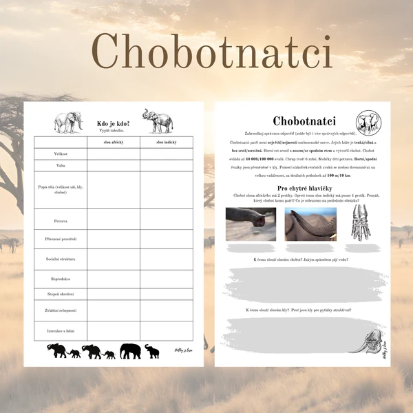 Chobotnatci