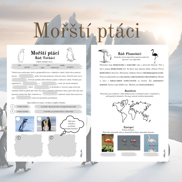 Mořští ptáci