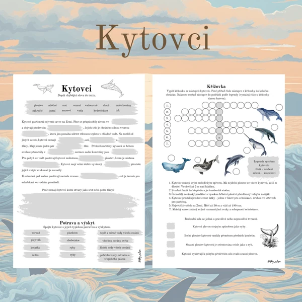 Kytovci
