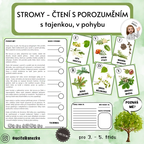 STROMY - ČTENÍ S POROZUMĚNÍM (3. - 5. třída)