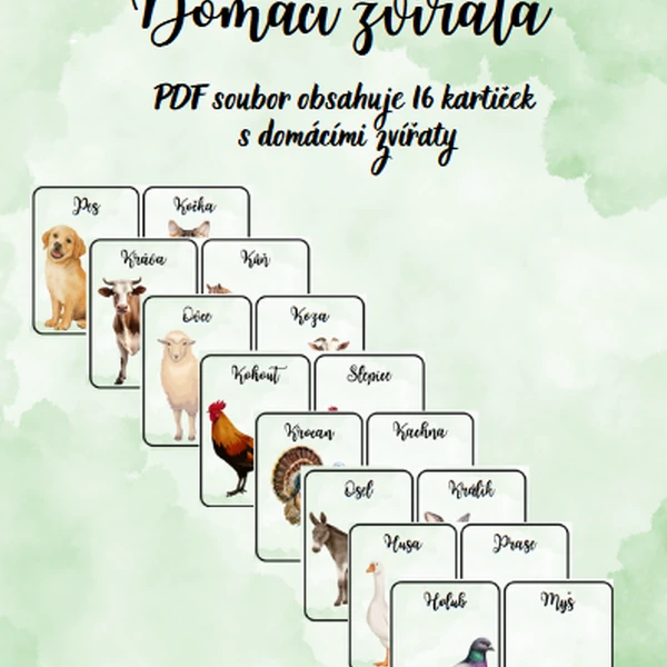 Demonstrační karty domácí zvířata