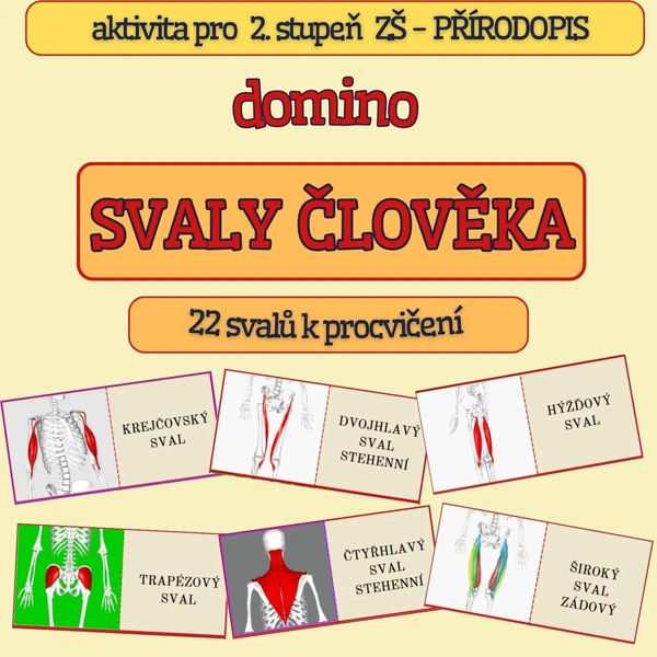 Domino - SVALY ČLOVĚKA