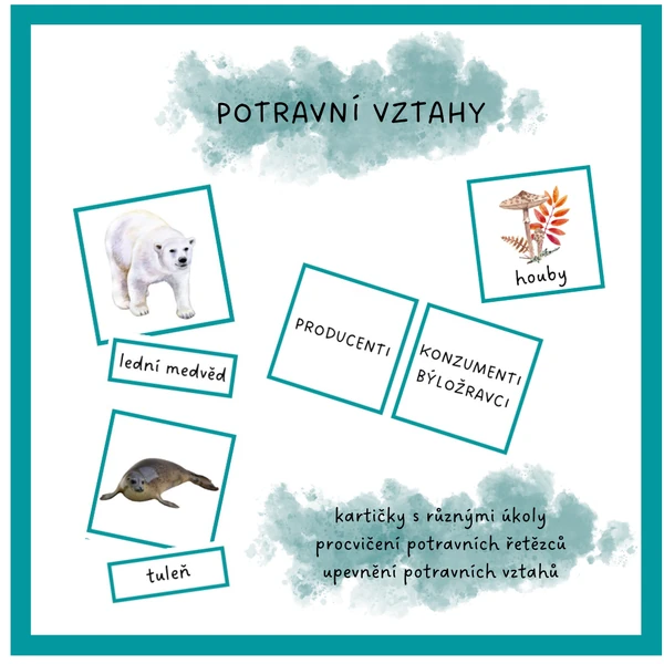 Potravní vztahy