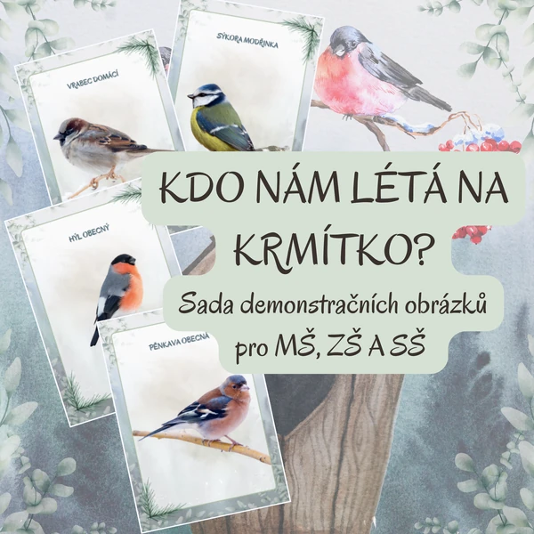 Kdo nám létá na krmítko?