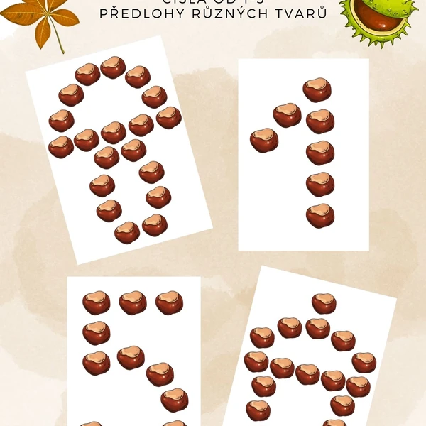 Kaštanové obrázky 🌰🍁