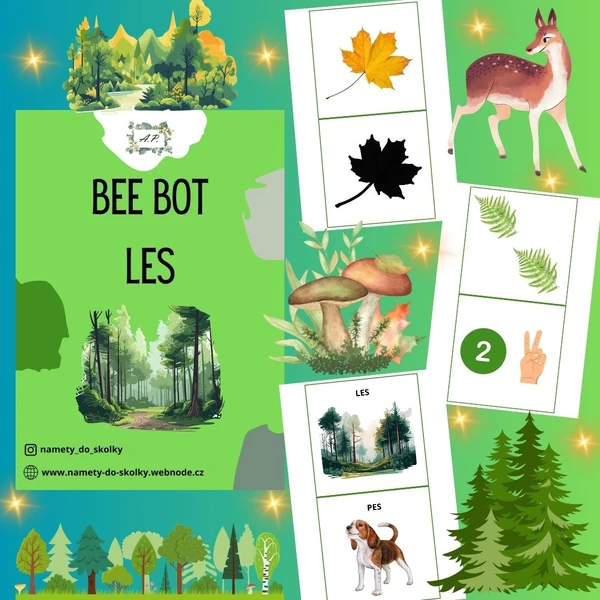 Bee bot - Les