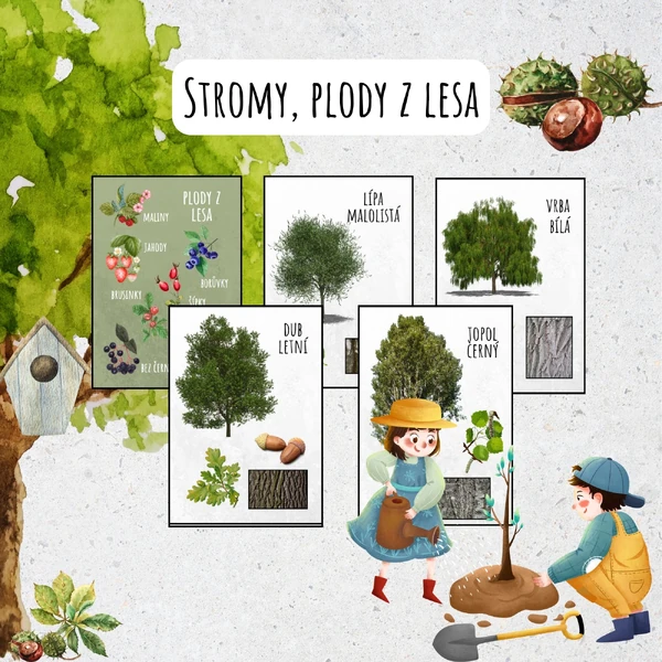 Stromy, les, plody z lesa, lesní plody, učební pomůcka, obrázkový materiál na tabuli