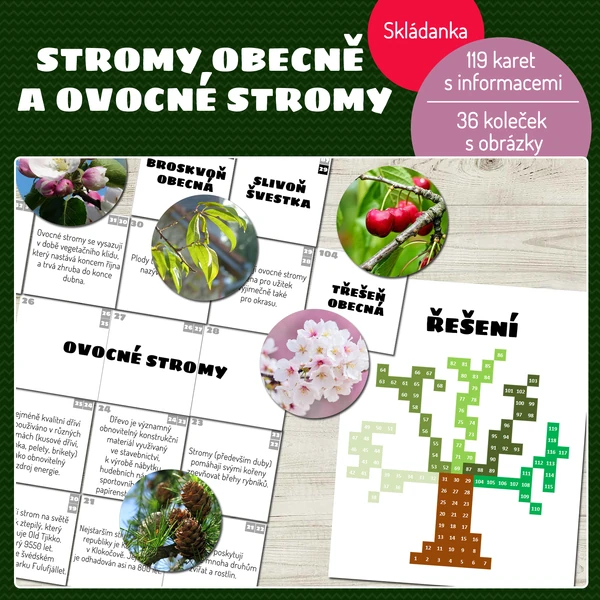 Stromy obecně a ovocné stromy