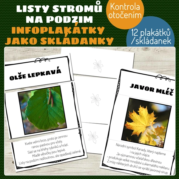 Listy stromů na podzim - infoplakátky jako skládanky