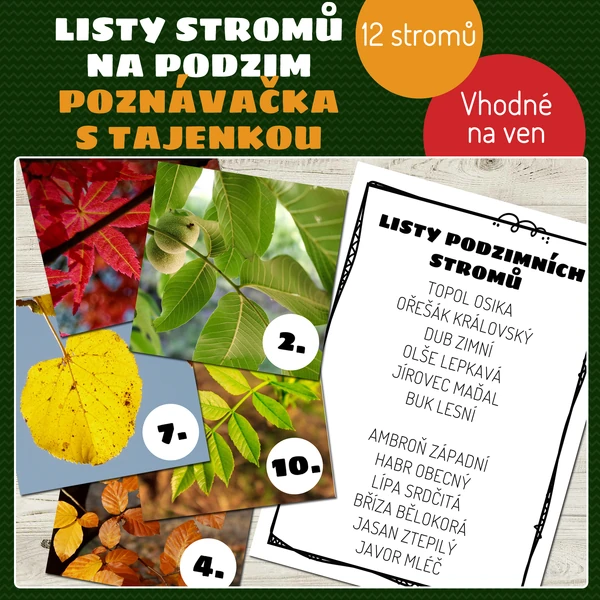Listy stromů na podzim - poznávačka s tajenkou