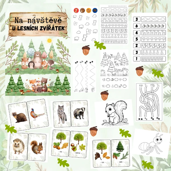 🦌🦔NA NÁVŠTĚVĚ U LESNÍCH ZVÍŘÁTEK 🦔🐿️ 