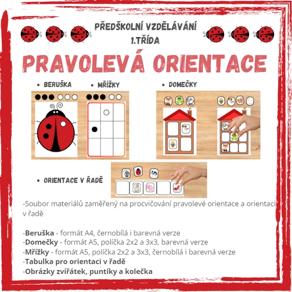 Pravolevá orientace
