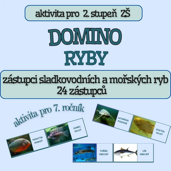 Didaktická hra typu domino - RYBY