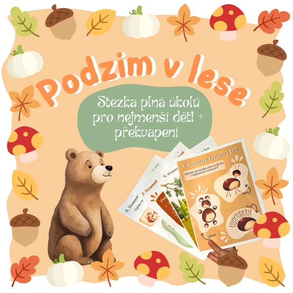 Podzim v lese