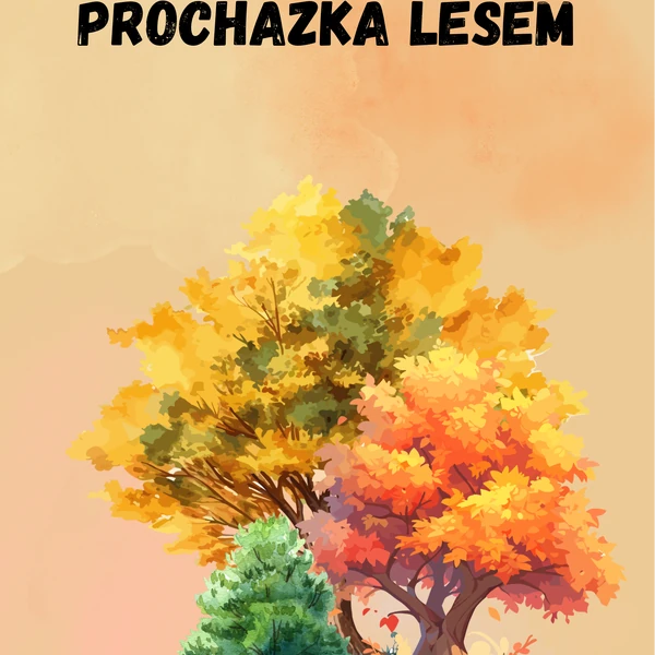 Procházka lesem - les
