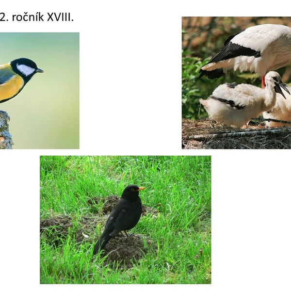Prvouka pro 2. ročník XVIII.