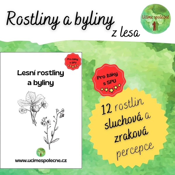 Lesní rostliny a byliny