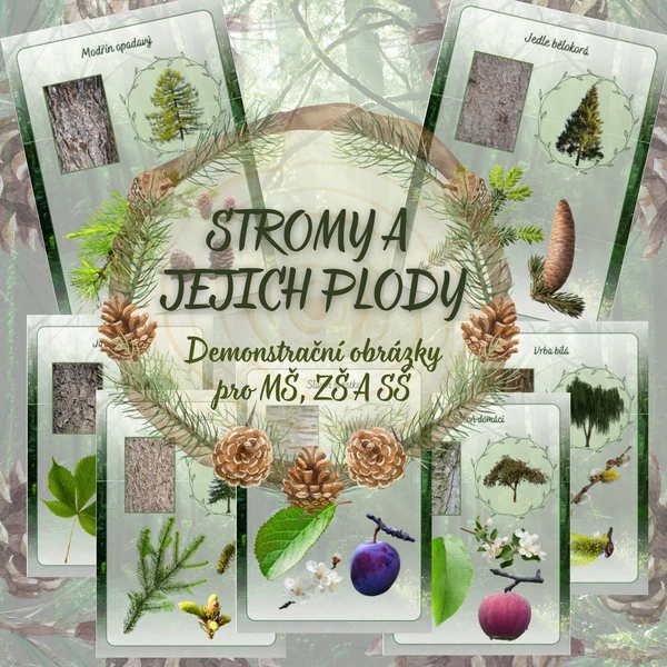 Stromy a jejich plody