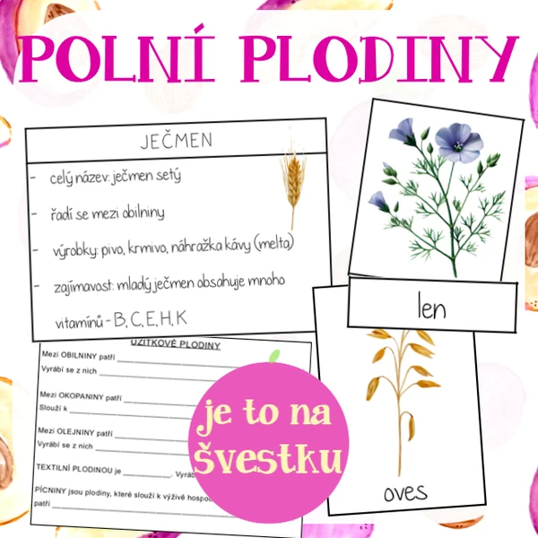 Polní užitkové plodiny