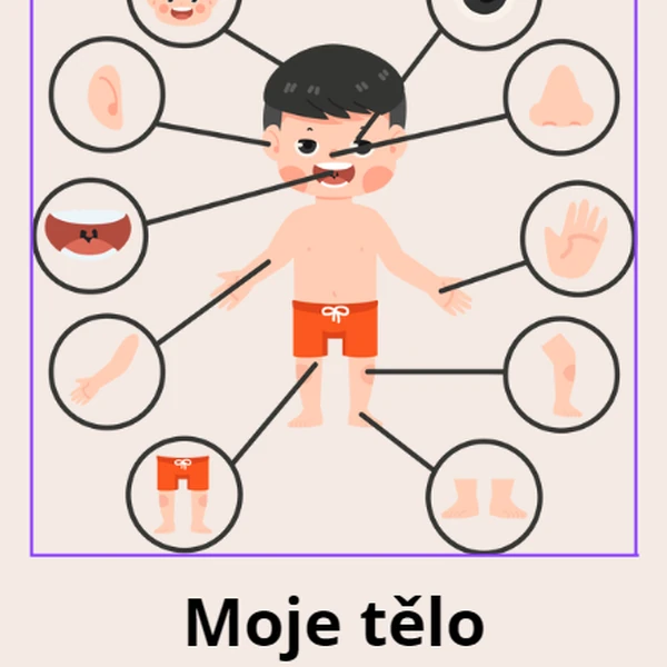 Moje tělo