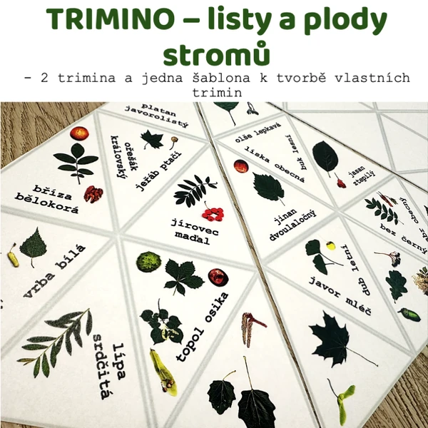 Trimino - Listy a plody stromů