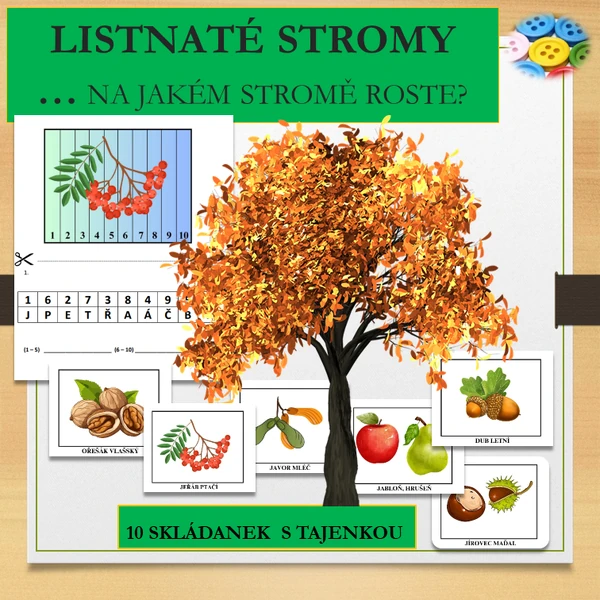 LISTNATÉ STROMY - NA JAKÉM STROMĚ ROSTE?