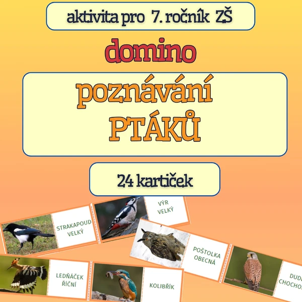 Didaktická hra typu domino - POZNÁVÁNÍ PTÁKŮ