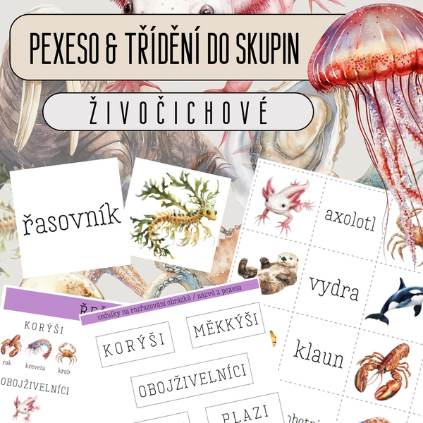 Ve vodě (vodní živočichové) - PEXESO & TŘÍDĚNÍ DO SKUPIN