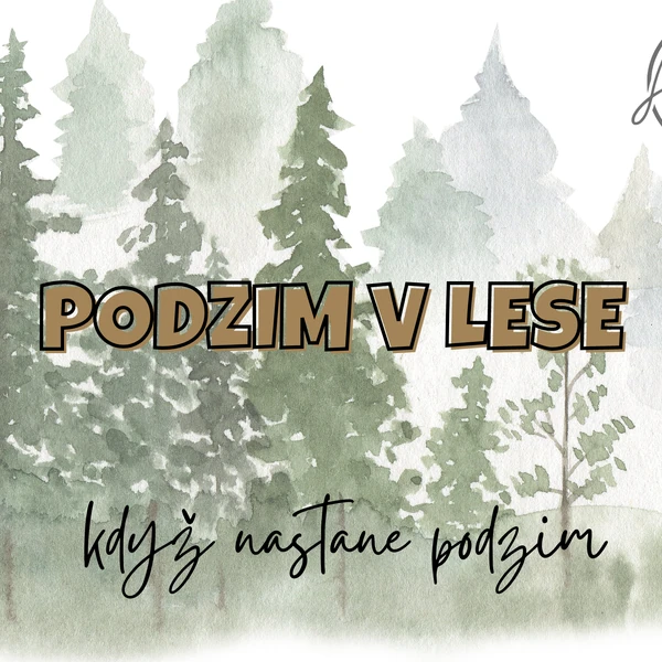 Podzim v lese