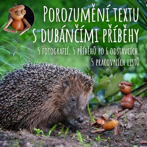 Porozumění textu s dubánčími příběhy